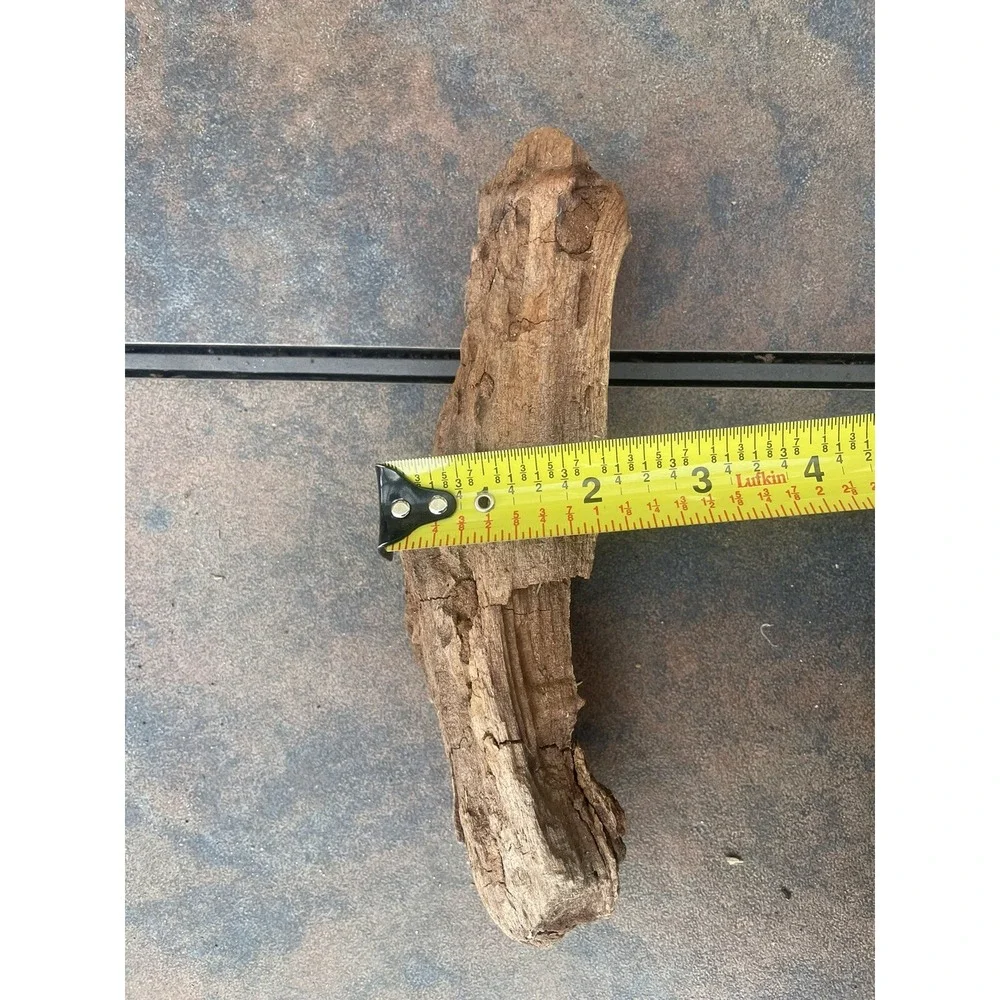 Natural Driftwood for Plants Terrarium Taxidermy Art Projects